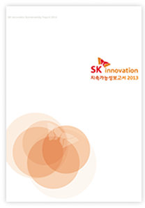 2013 지속가능경영보고서 썸네일 이미지